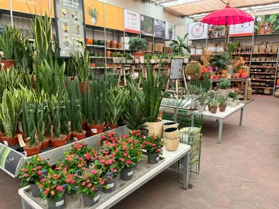 Kijkje in ons tuincentrum