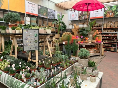 Kijkje in ons tuincentrum
