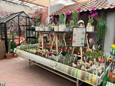 Kijkje in ons tuincentrum