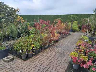 Kijkje in ons tuincentrum