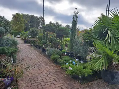Kijkje in ons tuincentrum