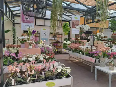 Kijkje in ons tuincentrum