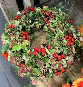 Kijkje in ons tuincentrum