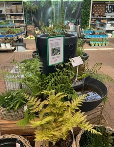 Kijkje in ons tuincentrum