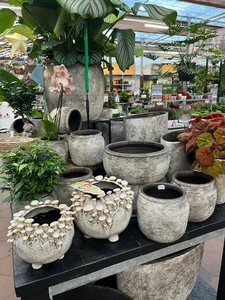 Kijkje in ons tuincentrum