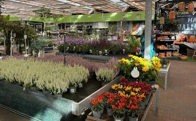 Kijkje in ons tuincentrum