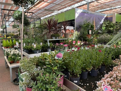 Kijkje in ons tuincentrum