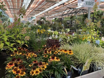 Kijkje in ons tuincentrum