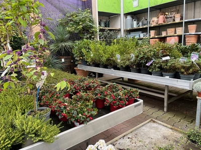 Kijkje in ons tuincentrum
