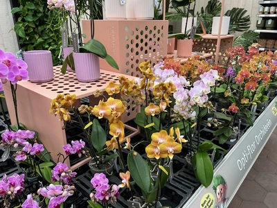 Kijkje in ons tuincentrum