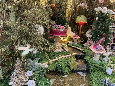 Kijkje in ons tuincentrum