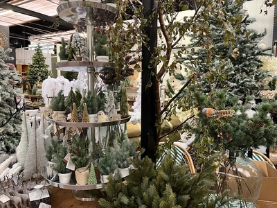 Kijkje in ons tuincentrum