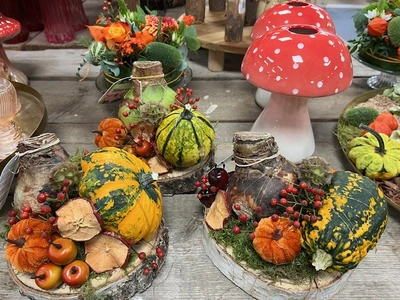 Kijkje in ons tuincentrum