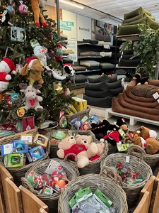 Kijkje in ons tuincentrum