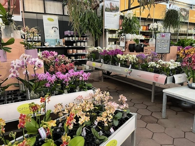 Kijkje in ons tuincentrum