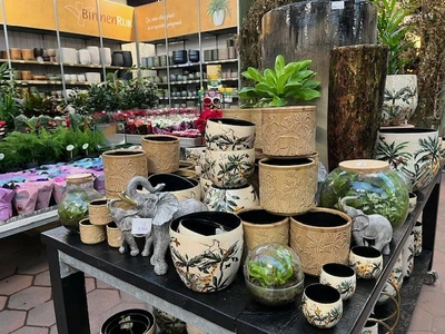 Kijkje in ons tuincentrum