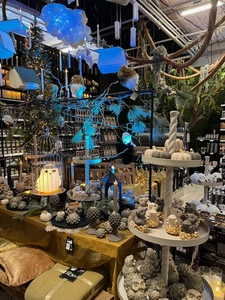 Kijkje in ons tuincentrum