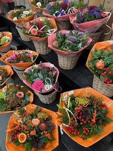 Kijkje in ons tuincentrum