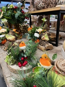 Kijkje in ons tuincentrum