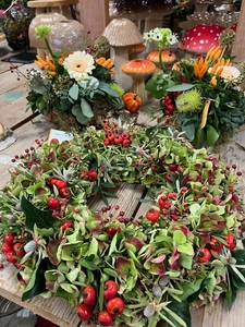 Kijkje in ons tuincentrum