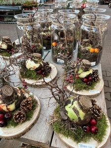 Kijkje in ons tuincentrum