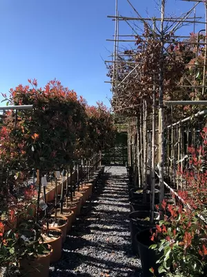 Kijkje in ons tuincentrum