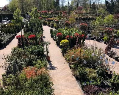 Kijkje in ons tuincentrum