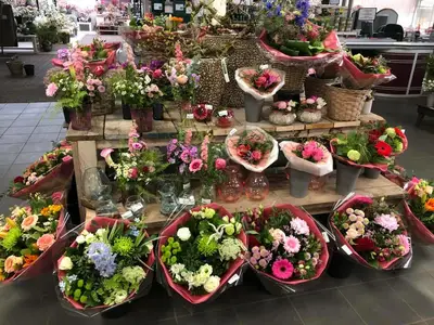 Kijkje in ons tuincentrum