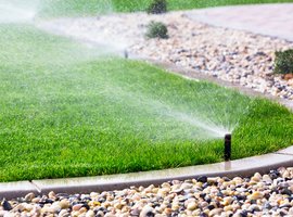 Bewatering | GroenRijk Schalk Prinsenbeek