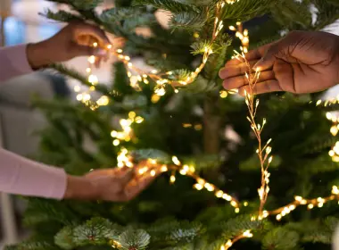 Kerverlichting kopen | GroenRijk Prinsenbeek