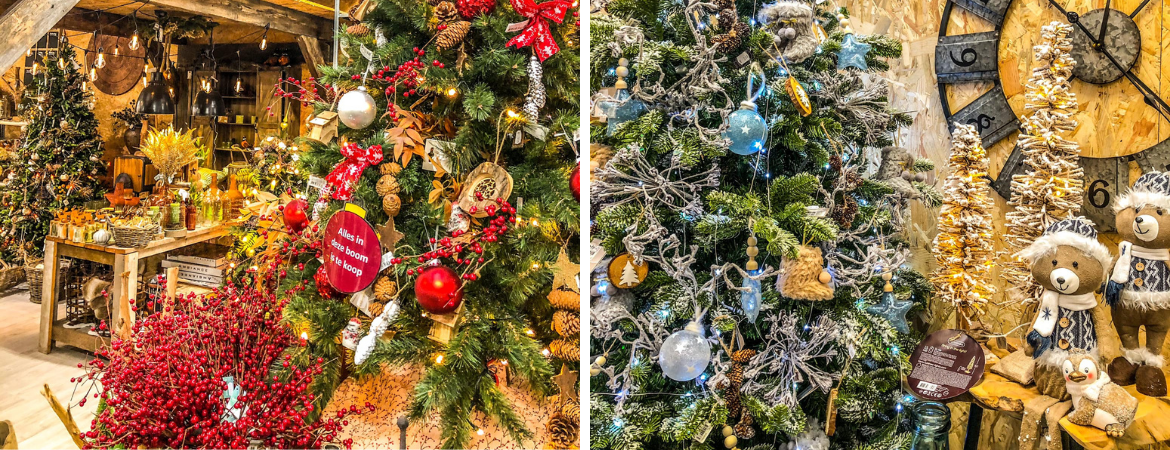 Tips om de kerstboom langer gezond te houden | GroenRijk Prinsenbeek